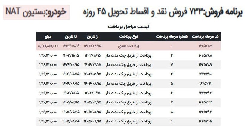 فروش اقساطی خودروهای برقی ایران خودرو ویژه آبان 1403 005