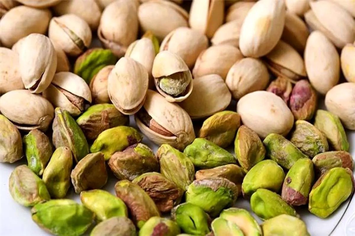 ذخایر ژنتیکی پسته ایران در دنیا منحصر به فرد است