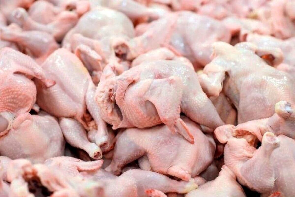قیمت گوشت مرغ امروز ۵ دی ۱۴۰۳