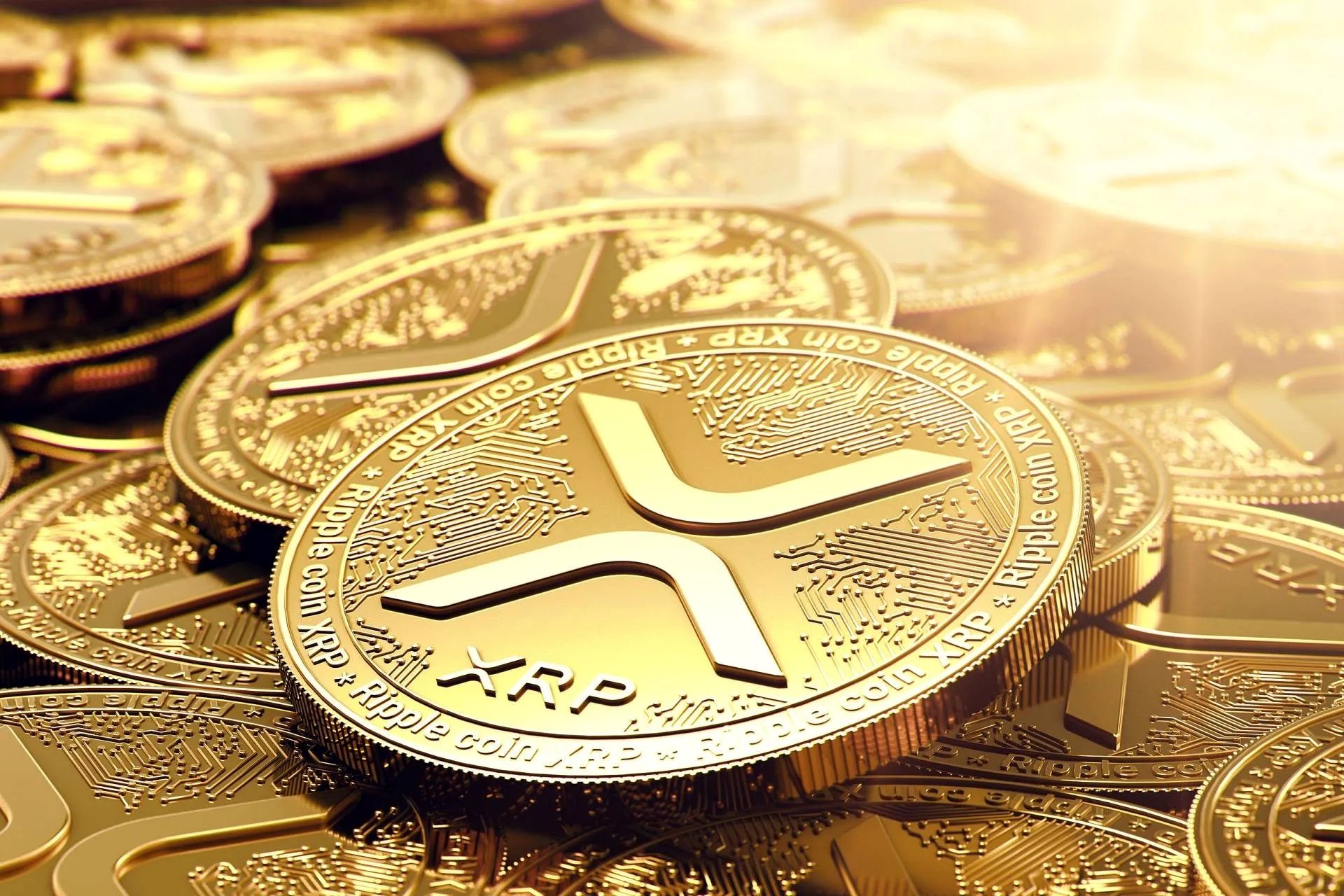 قیمت ریپل امروز ۲۹ دی ۱۴۰۳