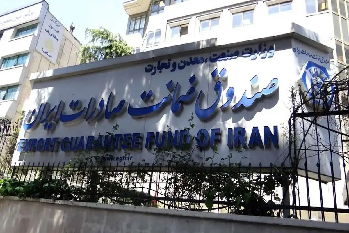 مدیرعامل صندوق ضمانت صادرات ایران منصوب شد