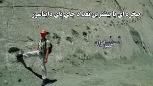 صخره ای با بیشترین تعداد جای پای دایناسور / قدمت ردپاها بیش از ۶۰ میلیون سال است (فیلم)