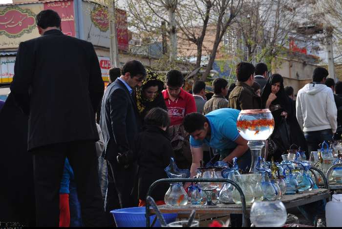 از تُنگ ماهی تا جوجههای رنگی؛ زیبایی نوروزی به چه بهایی؟ 3051590-4880977