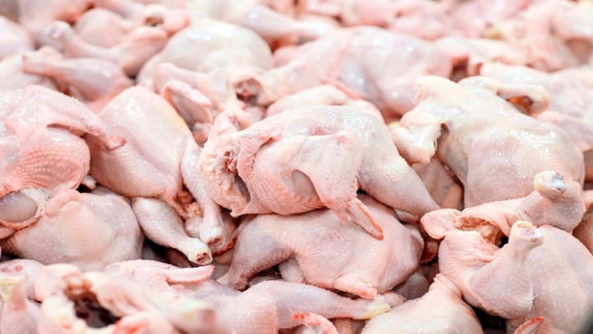 قیمت گوشت مرغ، امروز ۱۰ فروردین ۱۴۰۴