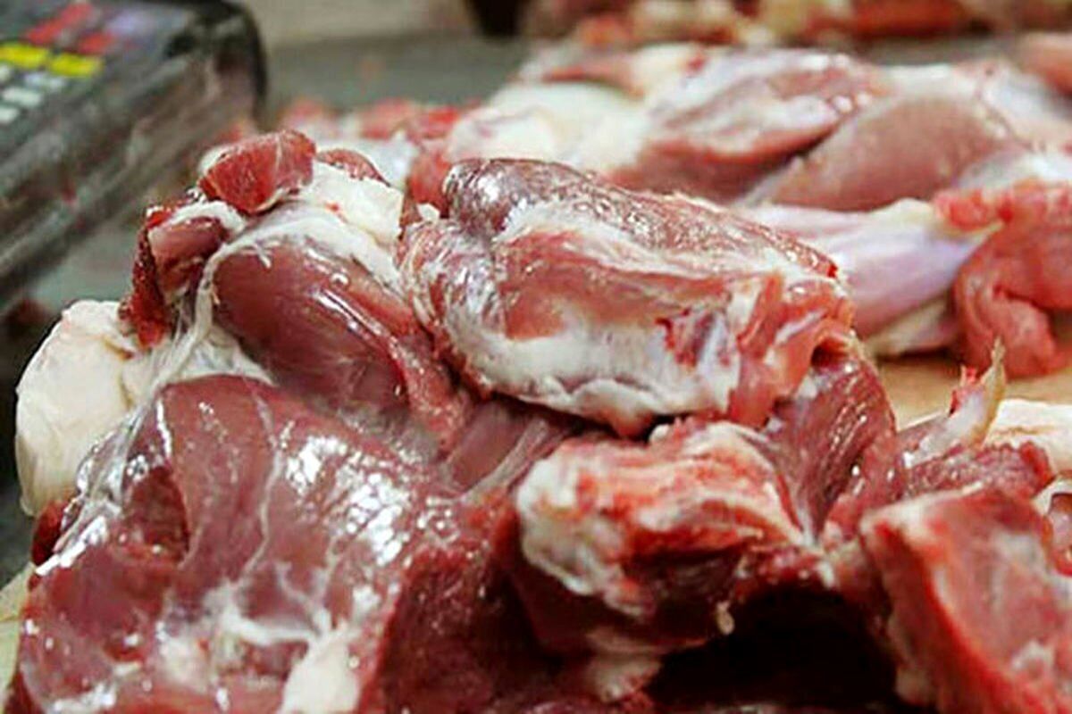 قیمت گوشت گوسفندی، گوشت مرغ و دام زنده امروز پنجشنبه ۱۶ اسفند 1403