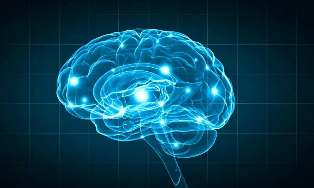 دانشمندان چینی: دوز پایین نیکوتین میتواند سرعت پیری مغز را کم کند low-dose-nicotine-can-protect-the-brain-from-aging-1-1024x614.jpg.webp