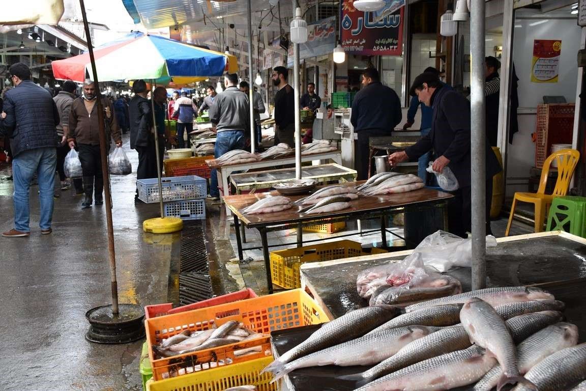 قیمت انواع ماهی؛ قزل‌آلا چند؟