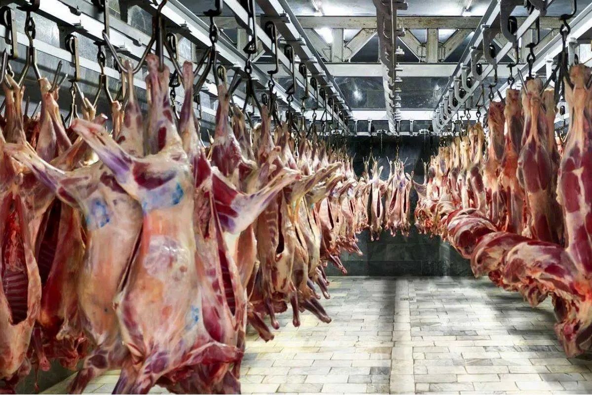 قیمت گوشت قرمز امروز پنجشنبه 12 تیر/ ران گوسفندی در مرز میلیونی شدن