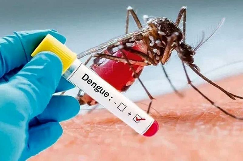 هشدار وزارت بهداشت؛ تب دنگی در کمین جنوب کشور