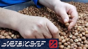 بازار فندق به ۱۶.۸ میلیارد دلار میرسد | فرصتها و چالشهای ایران در صادرات بازار