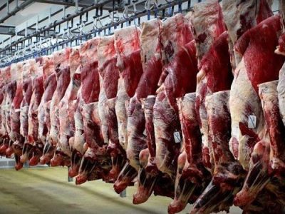 واردات گوشت قرمز ادامه دارد | تحریمها مانع تأمین نیاز داخلی نشدهاند