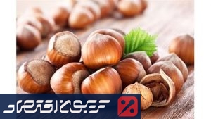 بازار فندق به ۱۶.۸ میلیارد دلار میرسد | فرصتها و چالشهای ایران در صادرات بازار