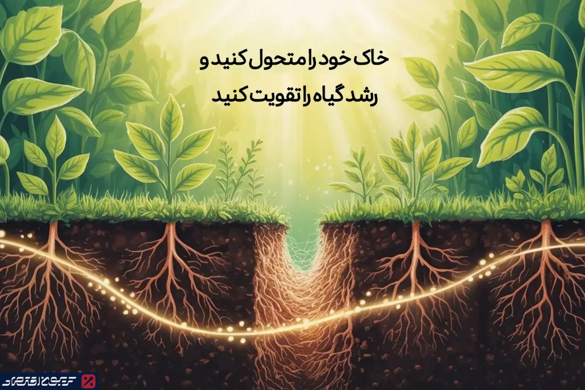 چرا کشاورزان حرفهای برای خرید هیومیک اسید، آبادیس را انتخاب میکنند؟ خاک خود را متحول کنید و رشد گیاه را تقویت کنید
