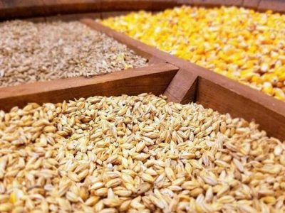 کشف تخلف میلیاردی در مجلس/ فروش ۸ کشتی نهاده دامی خالی